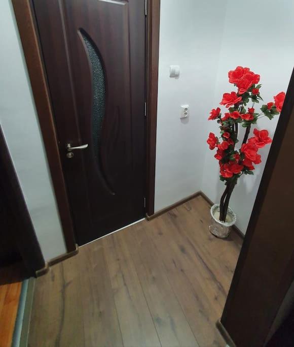 Sweet Home & Liliana Tecuci Εξωτερικό φωτογραφία